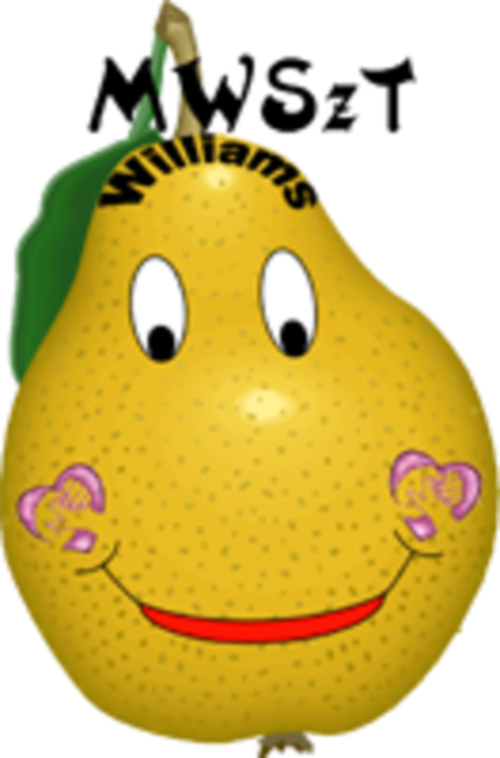 Magyar Williams Szindróma Társaság logo3.png